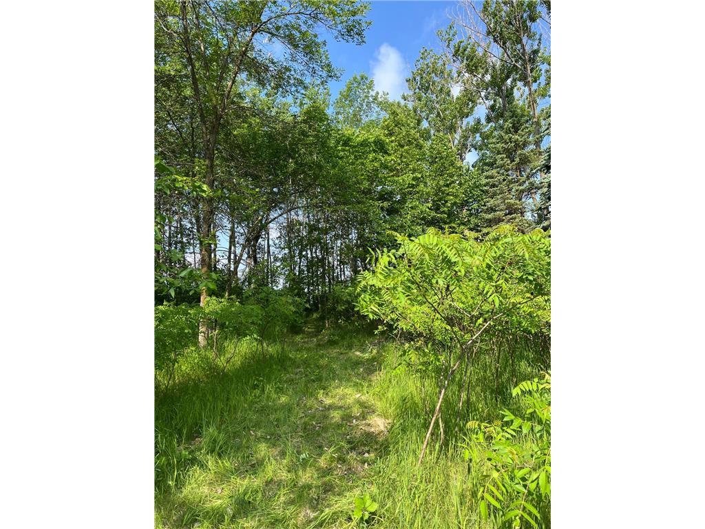 TBD Wild Rose Trail Frazee MN 56544 - Rose Lake 7070759 image5