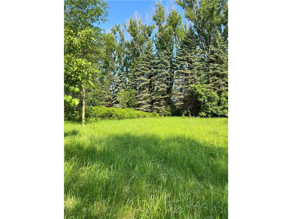 TBD Wild Rose Trail Frazee MN 56544 - Rose Lake 7070759 image8