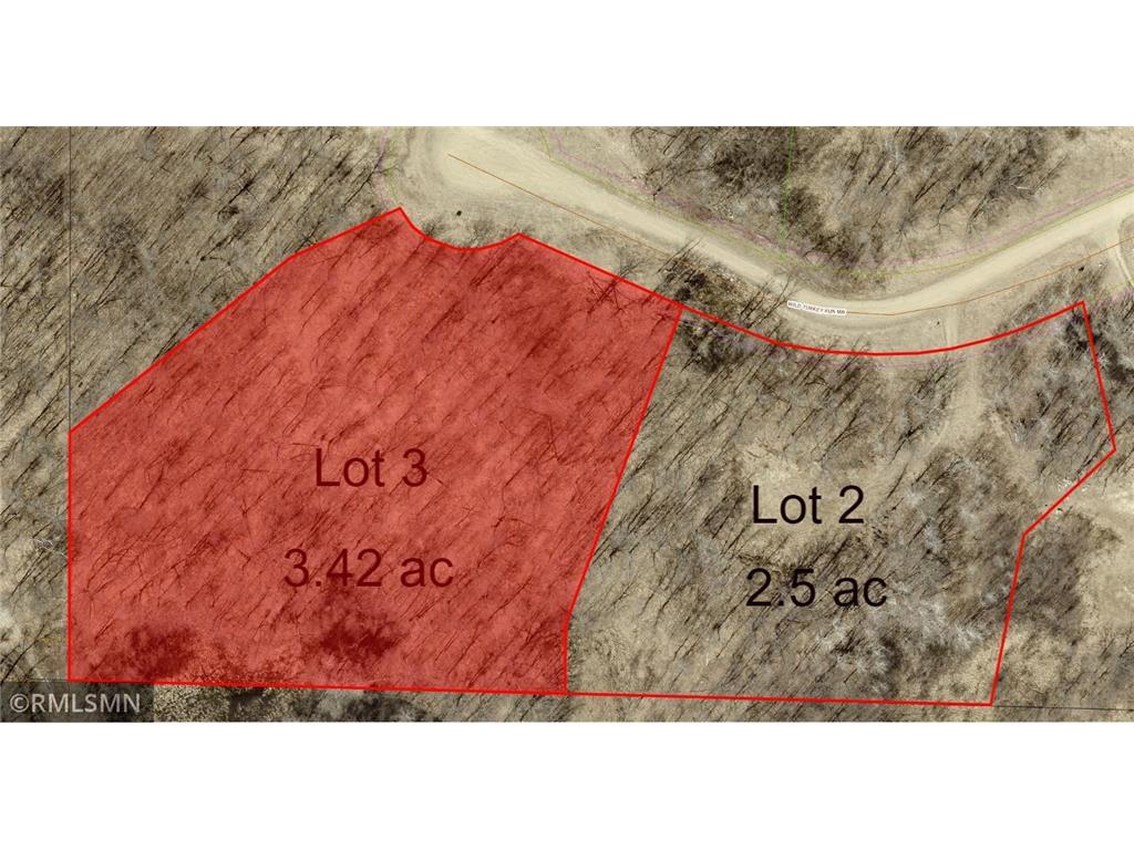 Lots 2 & 3 Wild Turkey Run Turtle Lake Twp MN 56484 6354260 image1