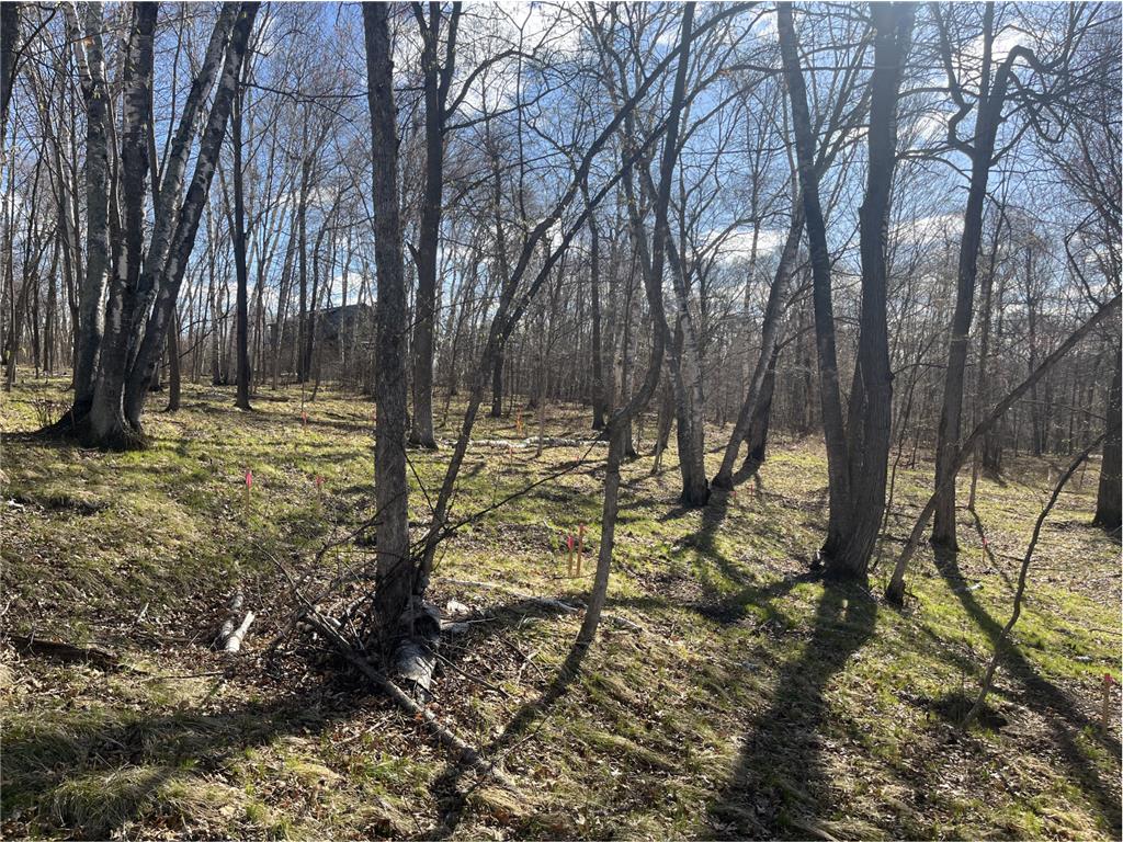 37880 Wilderness Parkway Crosslake MN 56442 7063503 image3
