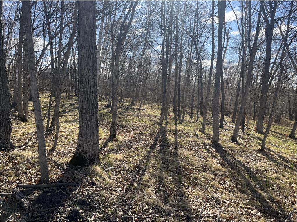 37880 Wilderness Parkway Crosslake MN 56442 7063503 image4