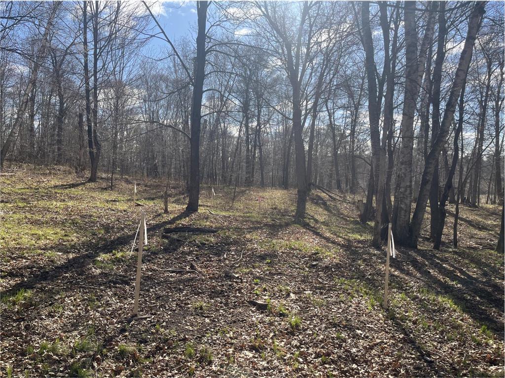37880 Wilderness Parkway Crosslake MN 56442 7063503 image6