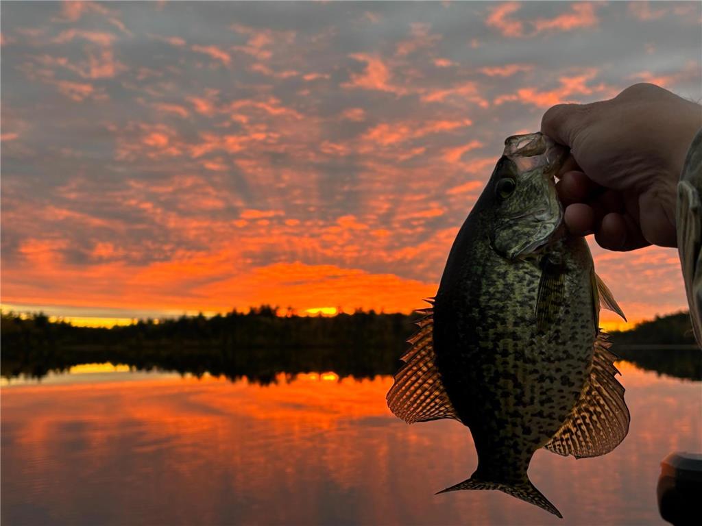 TBD Wilderness Way Cook MN 55723 - Vermilion 6814813 image1