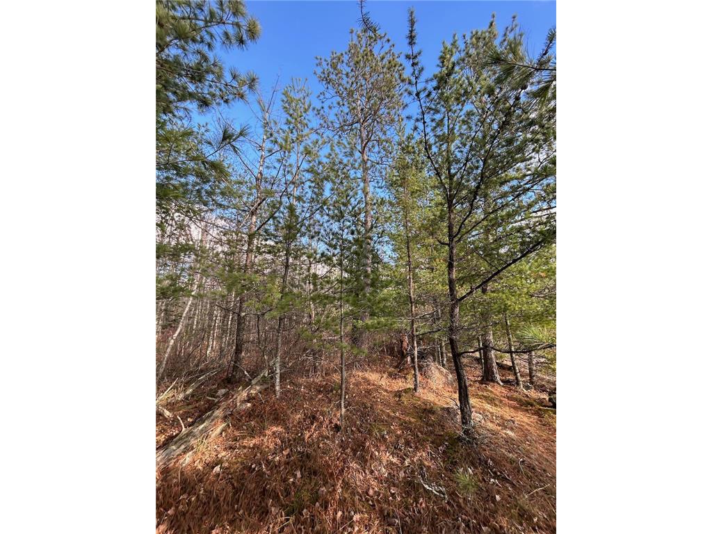 TBD Wilderness Way Cook MN 55723 - Vermilion 6814813 image12