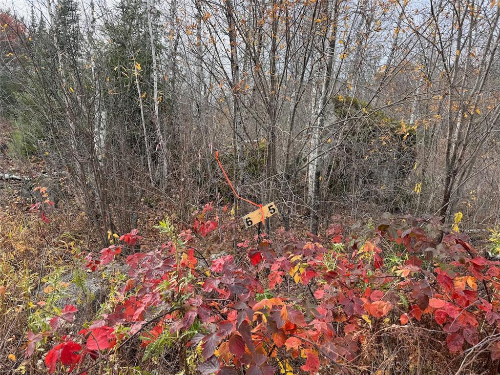 TBD Wilderness Way Cook MN 55723 - Vermilion 6814813 image19