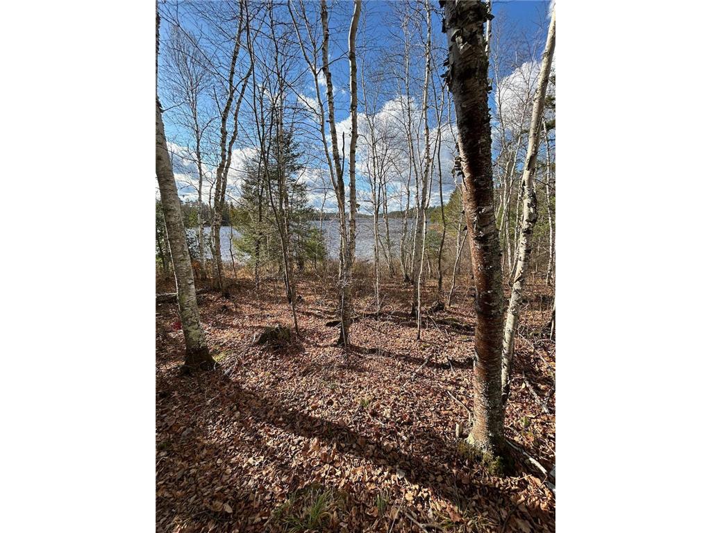 TBD Wilderness Way Cook MN 55723 - Vermilion 6814813 image5