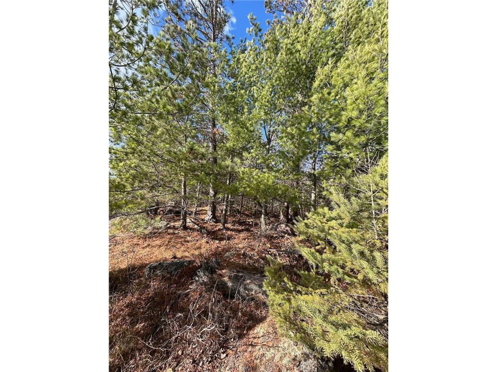 TBD Wilderness Way Cook MN 55723 - Vermilion 6814813 image6