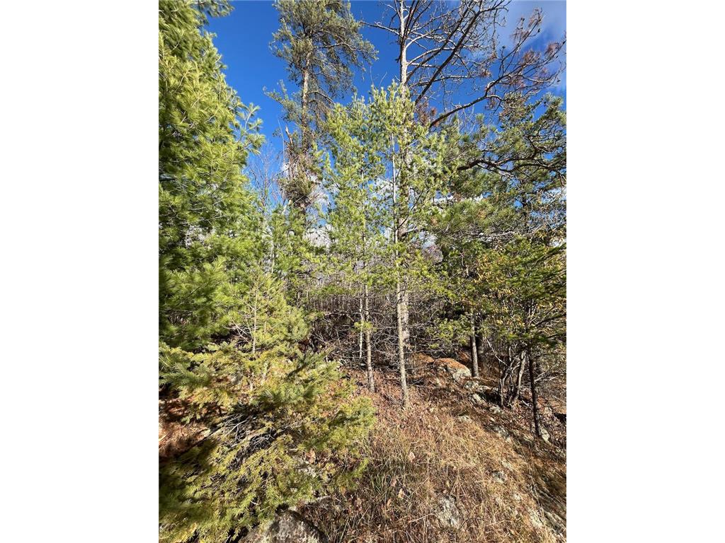 TBD Wilderness Way Cook MN 55723 - Vermilion 6814813 image7