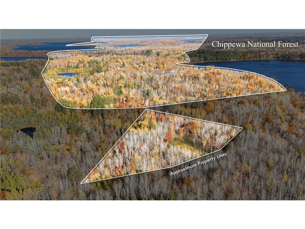 TBD Wildernessa Road Deer River MN 56636 6786383 image1