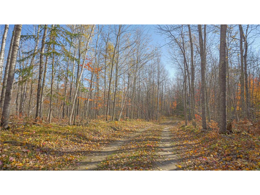 TBD Wildernessa Road Deer River MN 56636 6786383 image2