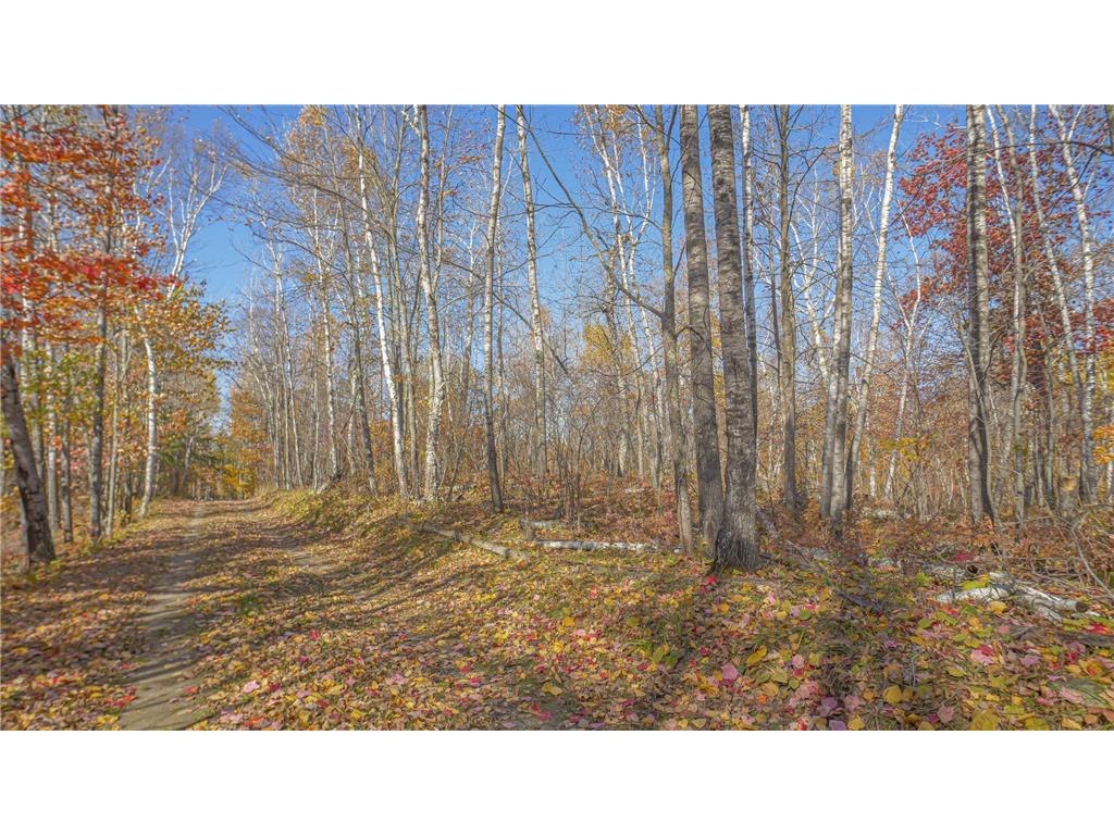 TBD Wildernessa Road Deer River MN 56636 6786383 image3