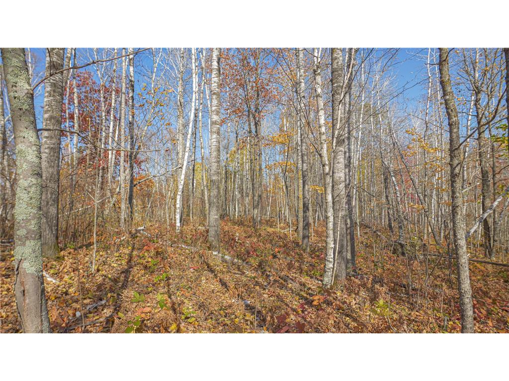 TBD Wildernessa Road Deer River MN 56636 6786383 image4