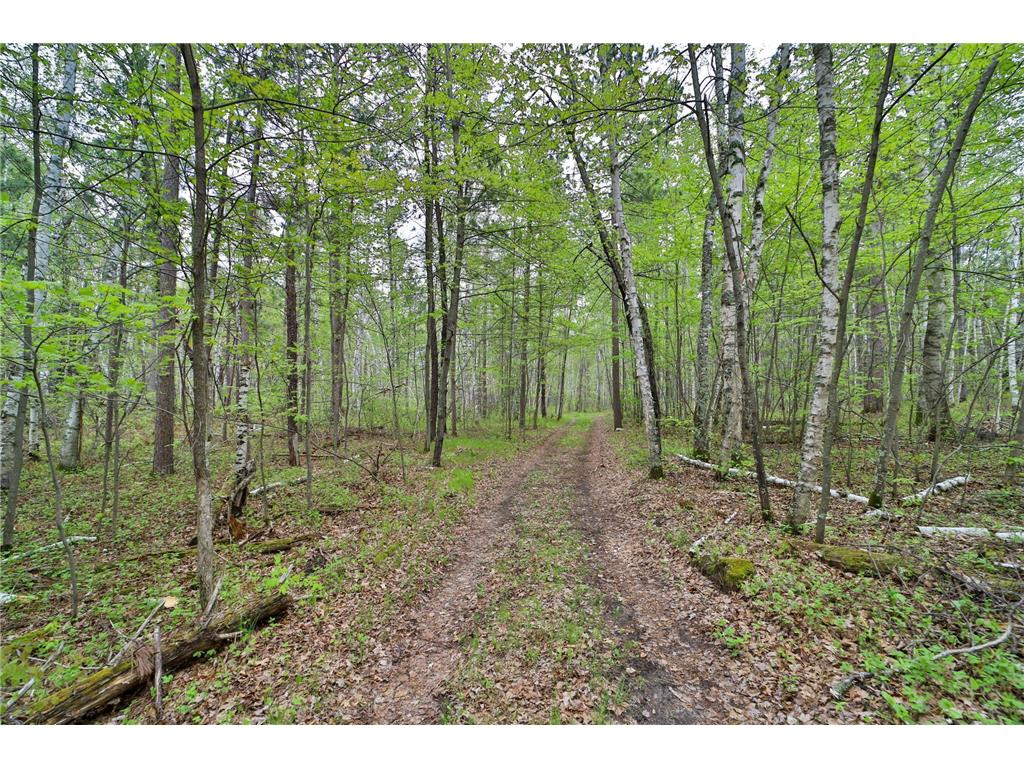 TBD Wildlife Trail Pequot Lakes MN 56472 - Sibley 6680437 image40