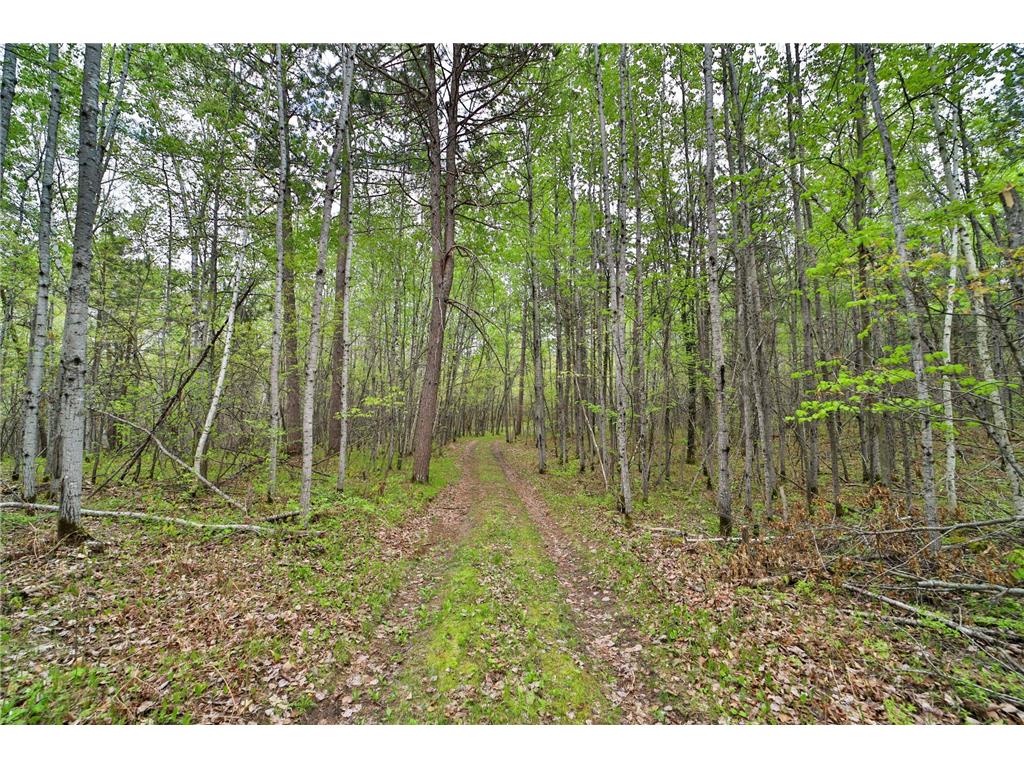 TBD Wildlife Trail Pequot Lakes MN 56472 - Sibley 6680437 image41