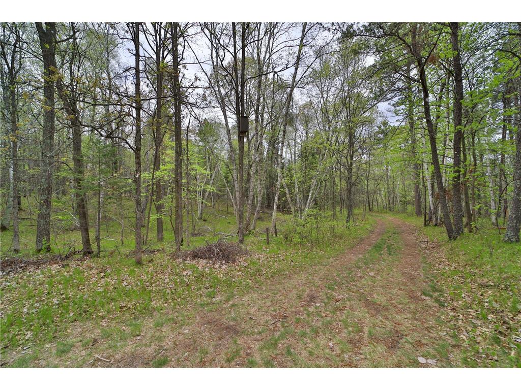 TBD Wildlife Trail Pequot Lakes MN 56472 - Sibley 6680437 image42