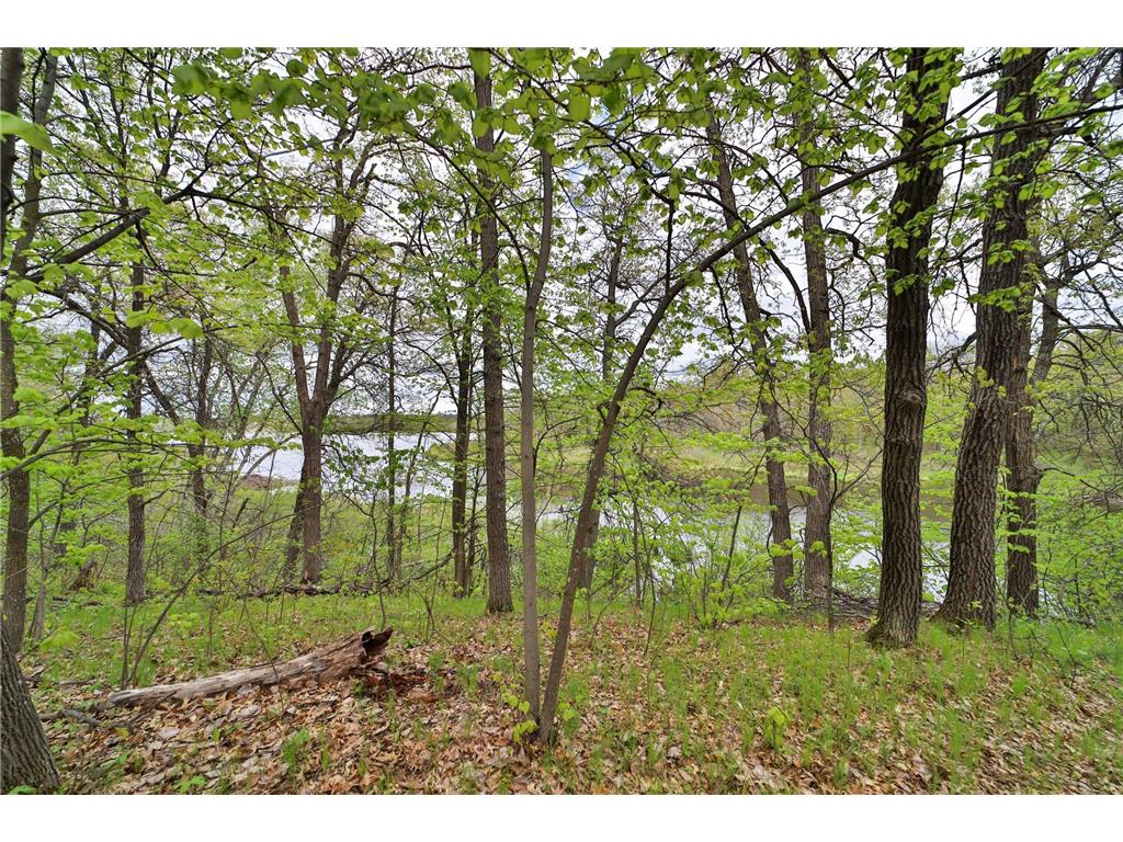 TBD Wildlife Trail Pequot Lakes MN 56472 - Sibley 6680437 image43