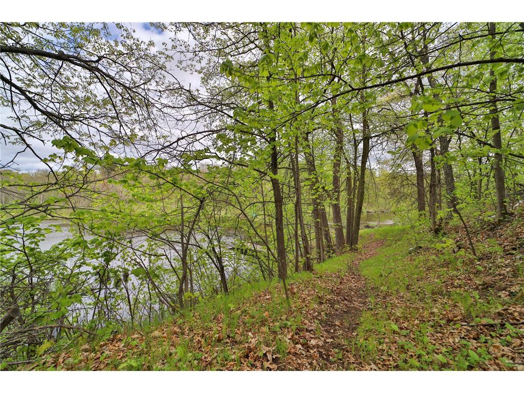 TBD Wildlife Trail Pequot Lakes MN 56472 - Sibley 6680437 image44