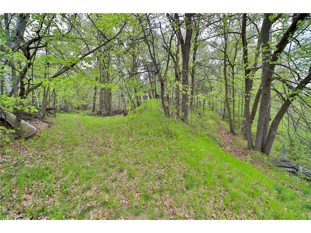 TBD Wildlife Trail Pequot Lakes MN 56472 - Sibley 6680437 image46