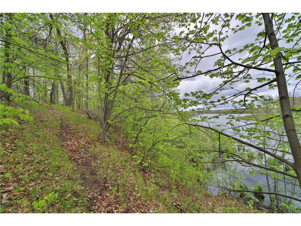 TBD Wildlife Trail Pequot Lakes MN 56472 - Sibley 6680437 image51