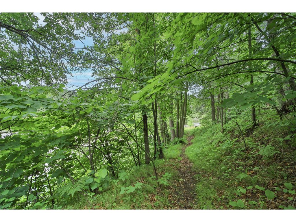 TBD Wildlife Trail Pequot Lakes MN 56472 - Sibley 6680437 image52