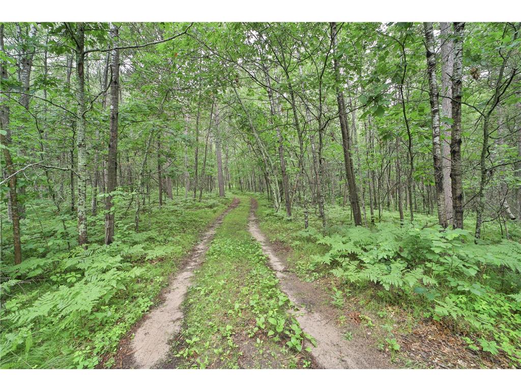 TBD Wildlife Trail Pequot Lakes MN 56472 - Sibley 6680437 image58