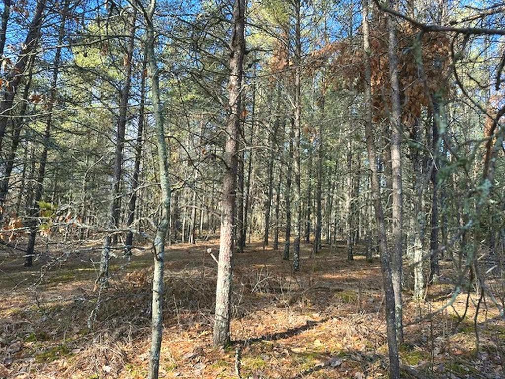 TBD Wildwood Ave Nevis MN 56467 6684691 image10