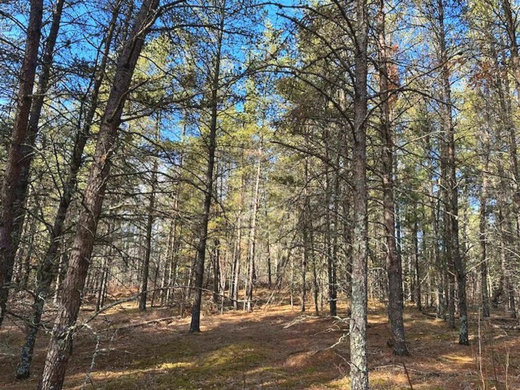 TBD Wildwood Ave Nevis MN 56467 6684691 image11