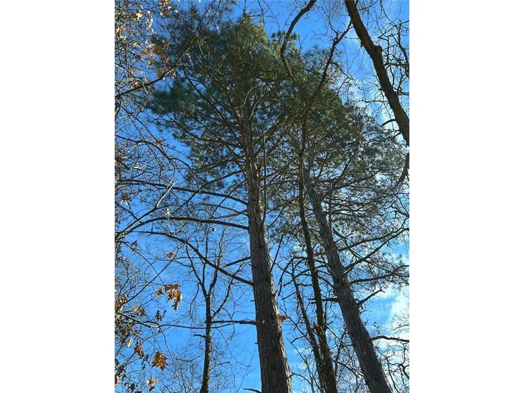 TBD Wildwood Ave Nevis MN 56467 6684691 image12