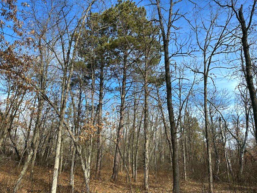 TBD Wildwood Ave Nevis MN 56467 6684691 image4