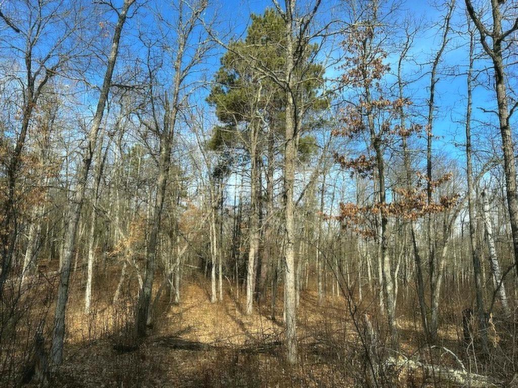 TBD Wildwood Ave Nevis MN 56467 6684691 image6