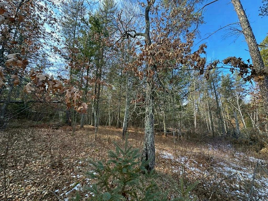 TBD Wildwood Ave Nevis MN 56467 6684691 image7