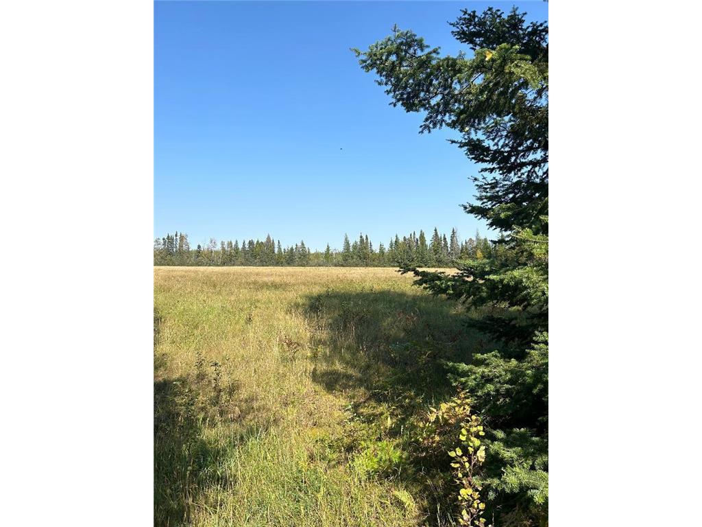 TBD Wilen Road Waasa Twp MN 55723 6601797 image1