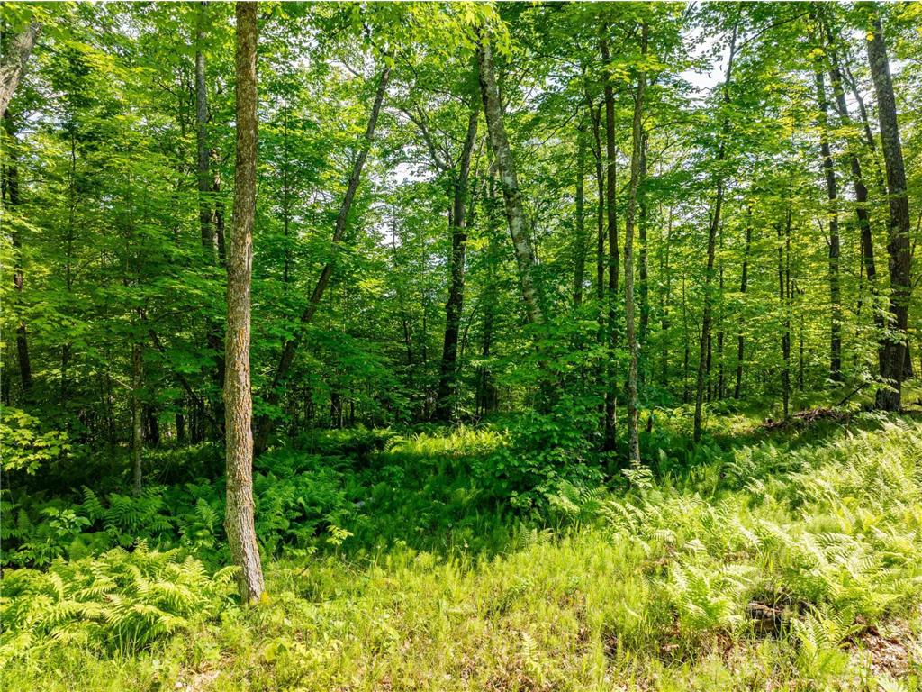 TBD Willow Lake Dr Deer River MN 56636 - No-ta-she-bun 6738305 image5