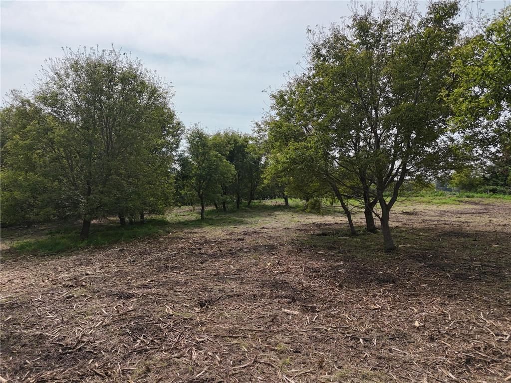 TBD Wintermute Lane Morris Twp MN 56267 - South Wintermute 7028919 image14