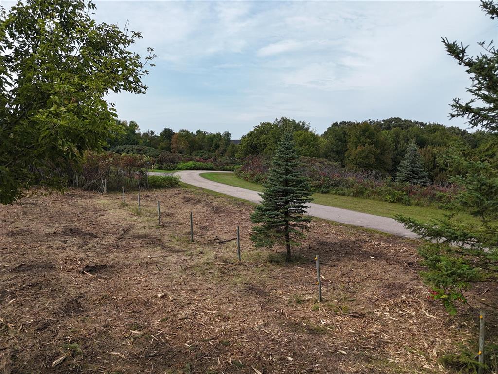 TBD Wintermute Lane Morris Twp MN 56267 - South Wintermute 7028919 image18