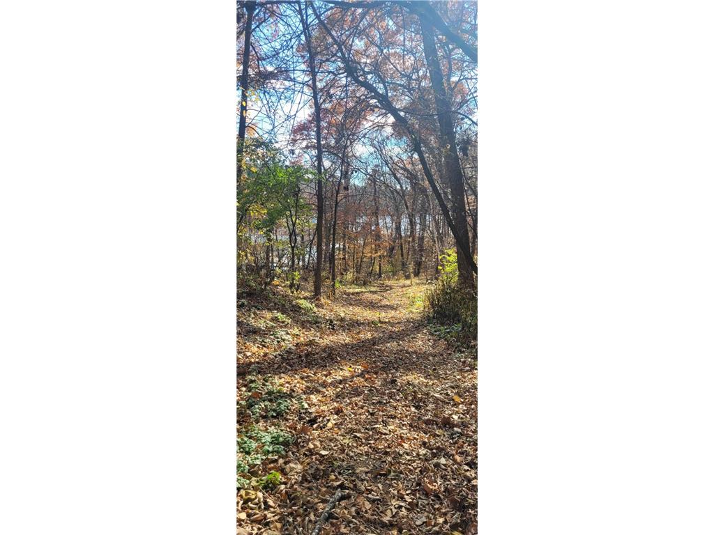 TBD Wise Road, Brainerd, MN 56401 MLS 6302231 Edina Realty