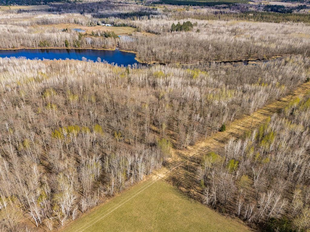 TBD Wold Road Sturgeon Lake Twp MN 55783 - Moose Horn River 7072969 image10