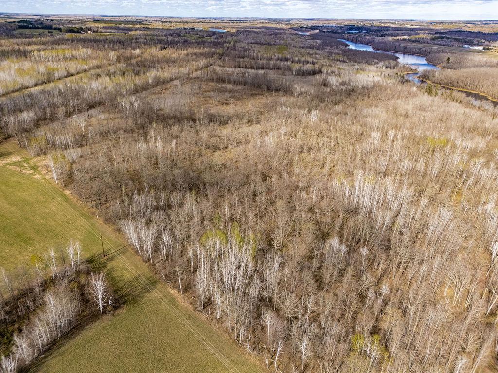 TBD Wold Road Sturgeon Lake Twp MN 55783 - Moose Horn River 7072969 image7