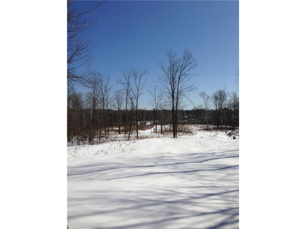 593xx Wolf Creek Rd Fleming Twp MN 55712 7061494 image13