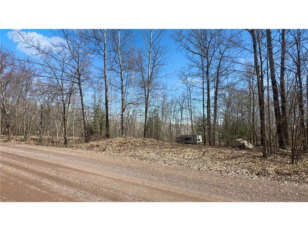 593xx Wolf Creek Rd Fleming Twp MN 55712 7061494 image4