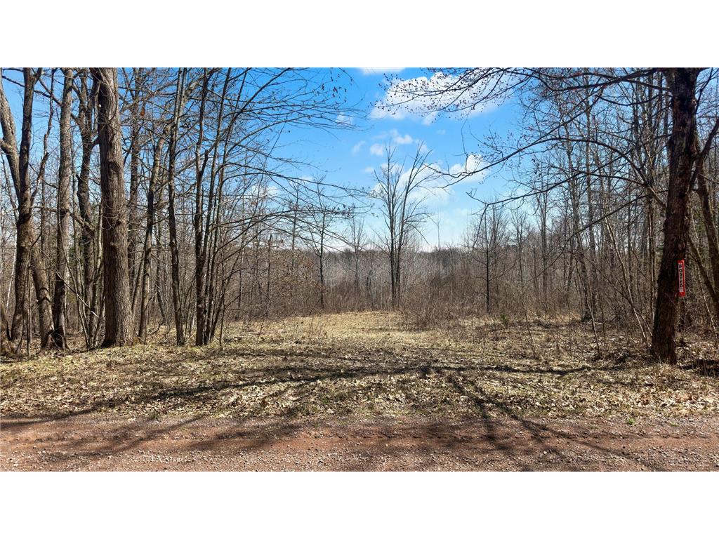 593xx Wolf Creek Rd Fleming Twp MN 55712 7061494 image5