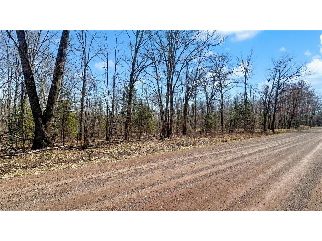 593xx Wolf Creek Rd Fleming Twp MN 55712 7061494 image6