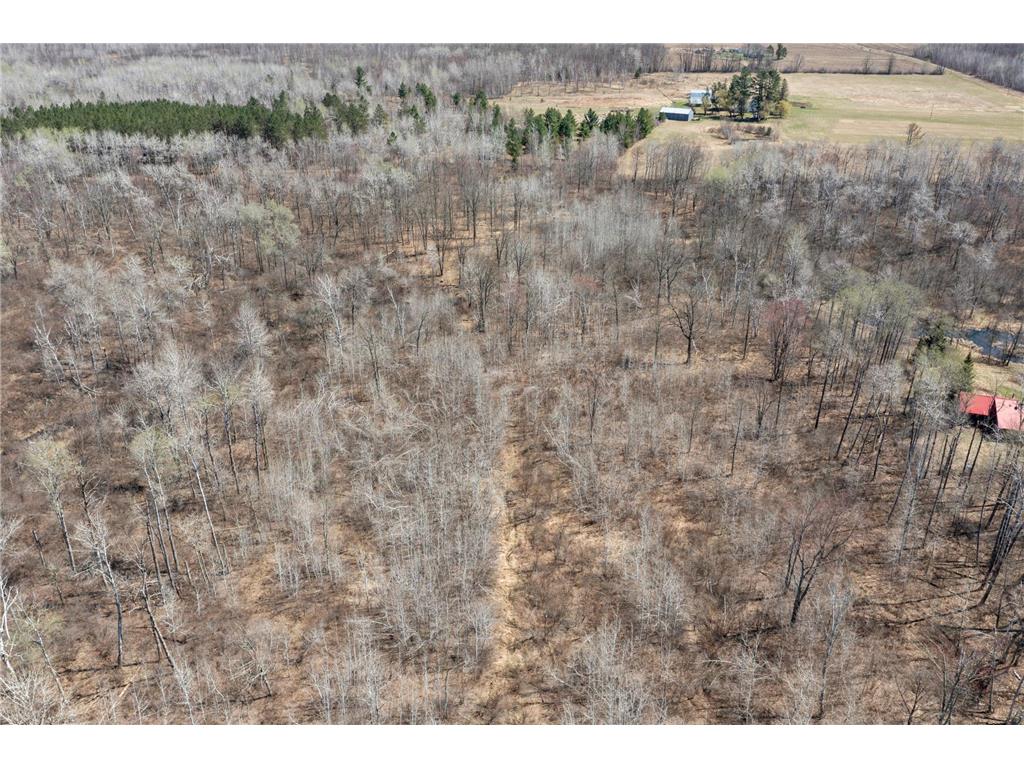 593xx Wolf Creek Rd Fleming Twp MN 55712 7061494 image8