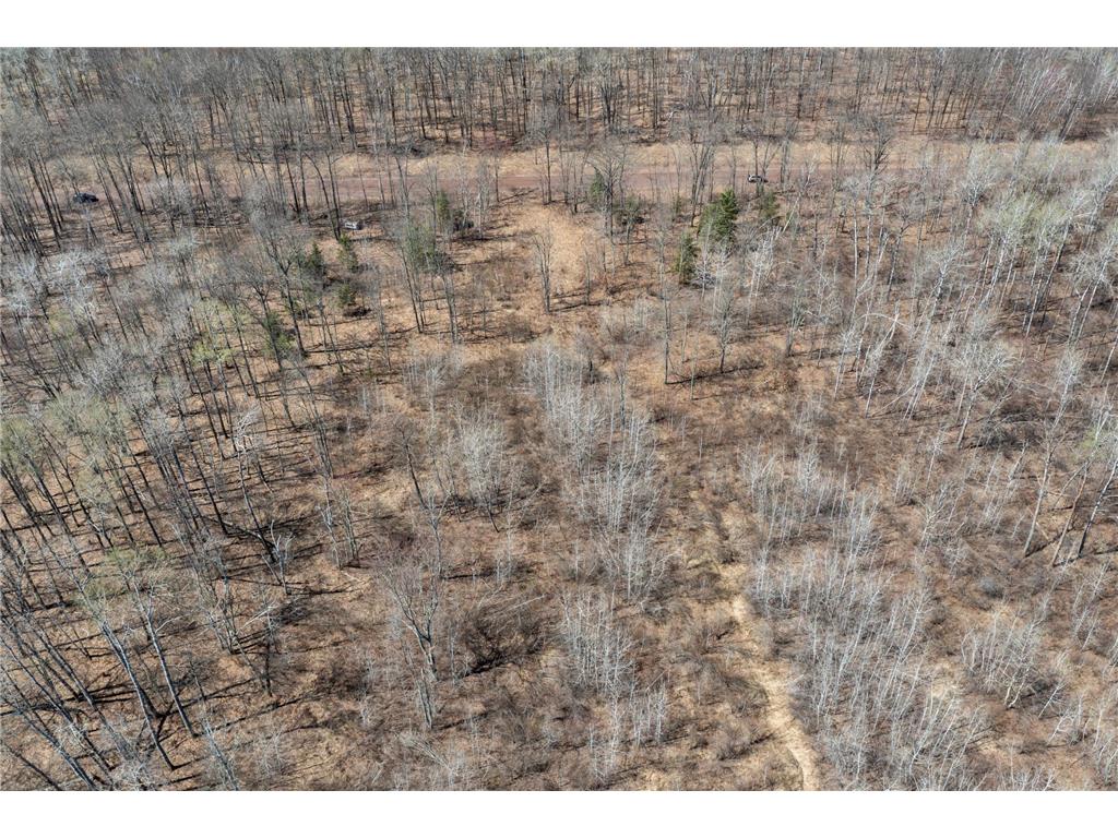 593xx Wolf Creek Rd Fleming Twp MN 55712 7061494 image9