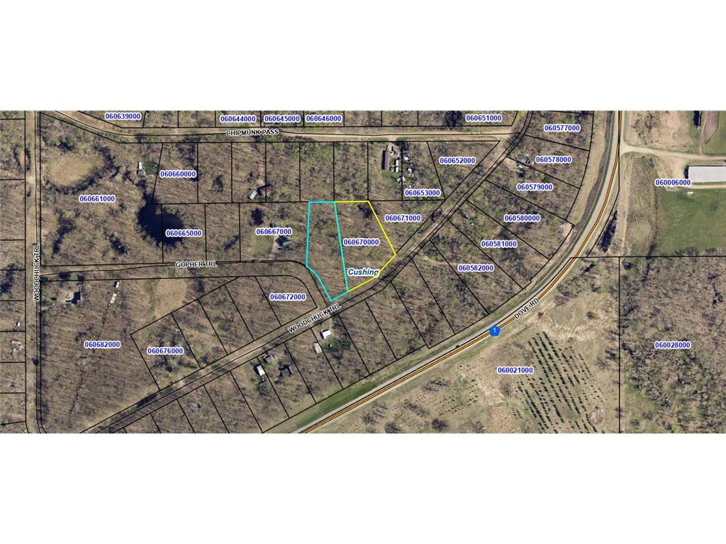 TBD Woodchuck Trail Cushing Twp MN 56443 7047199 image1