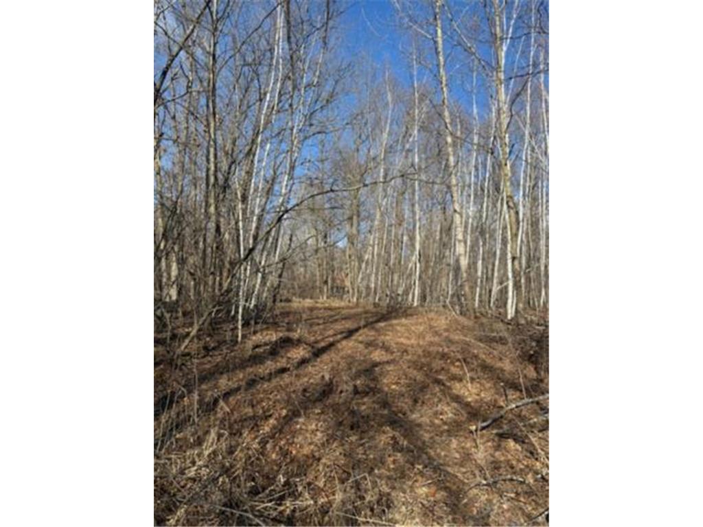 TBD Woodchuck Trail Cushing Twp MN 56443 7047199 image2