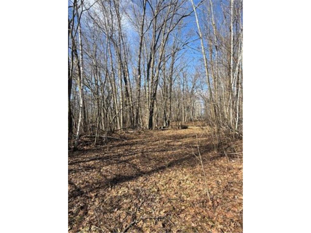 TBD Woodchuck Trail Cushing Twp MN 56443 7047199 image3