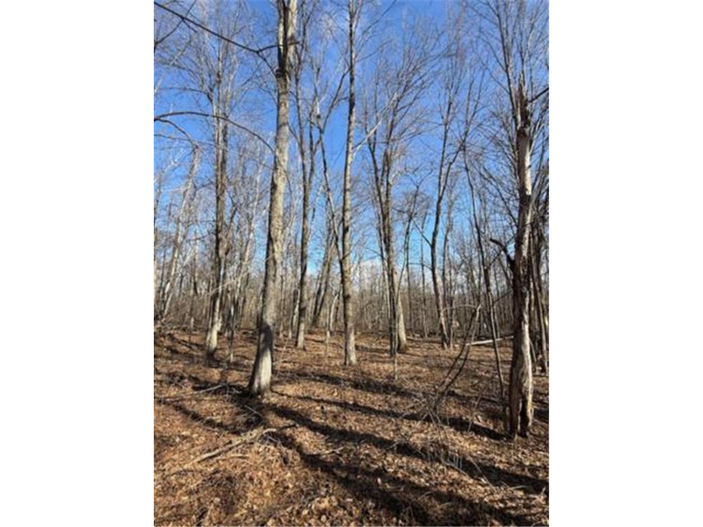 TBD Woodchuck Trail Cushing Twp MN 56443 7047199 image4