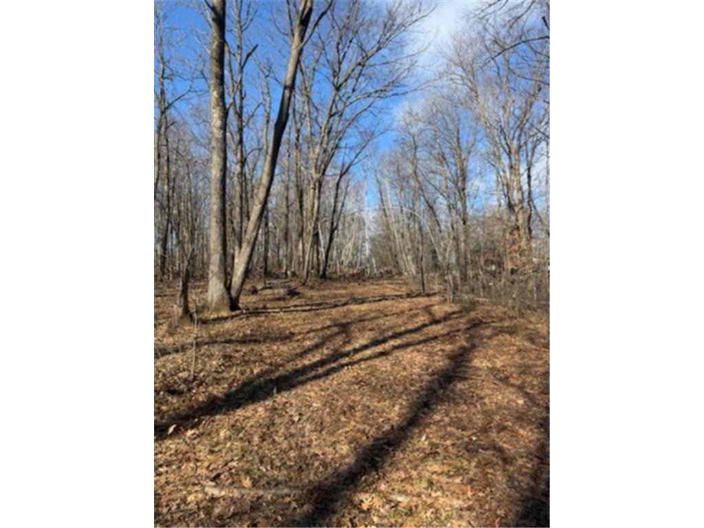 TBD Woodchuck Trail Cushing Twp MN 56443 7047199 image5