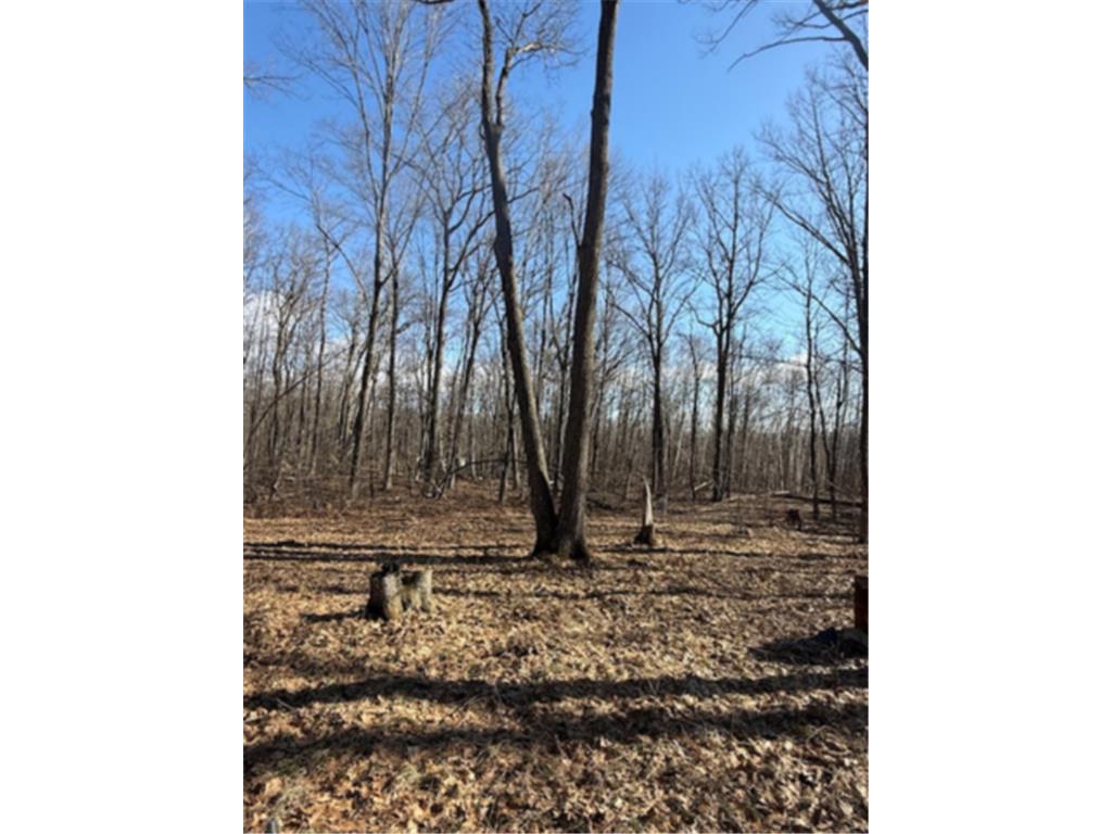 TBD Woodchuck Trail Cushing Twp MN 56443 7047199 image6
